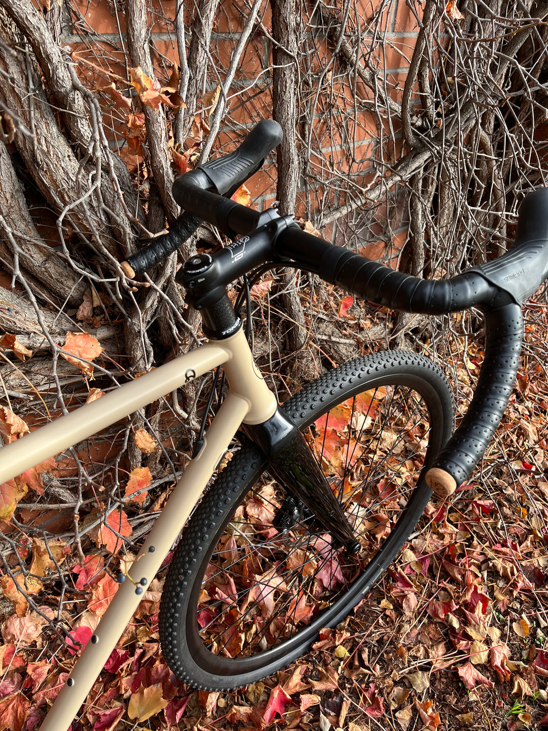 Rower Anty Gravel CrMo L Piaskowy, GRX 11s