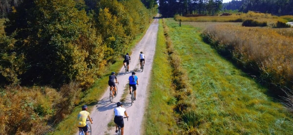 Grupa sześciu kolarzy cieszy się słonecznym dniem, jadąc obsadzoną drzewami, gruntową ścieżką przez trawiaste pola, idealną do wyścigów gravelowych.