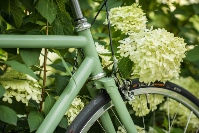 Zbliżenie na ramę roweru Antymateria Miasto ON - błękitną o szerokości 56 cm, z przednim kołem umieszczonym w pobliżu kępy kwitnących, białych hortensji.