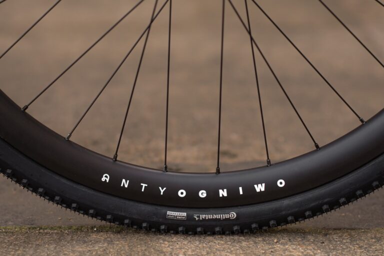 Zbliżenie na koło rowerowe z widoczną na boku opony marką „onygoniwt”, na rozmytym tle.